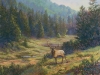 Elk Near Cloudcroft