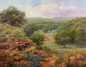Llano