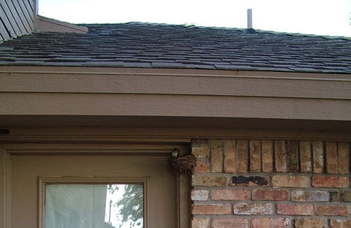 20090604_0212 20090604_0212