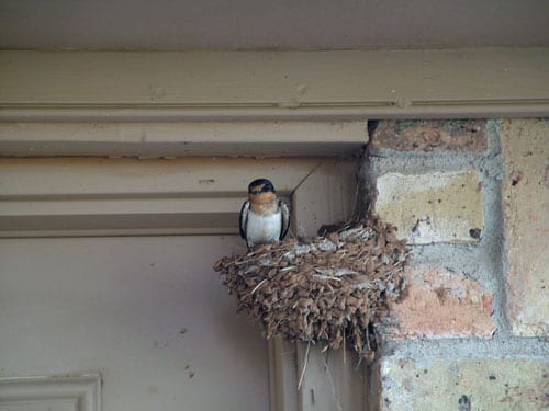 20090604_0213 20090604_0213