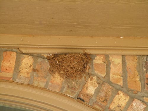 20090605_0003 20090605_0003