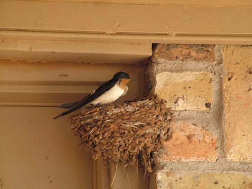 20090607_0010 20090607_0010