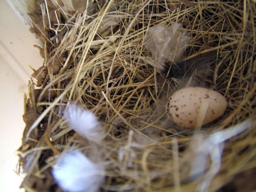 20090608_00013 20090608_00013