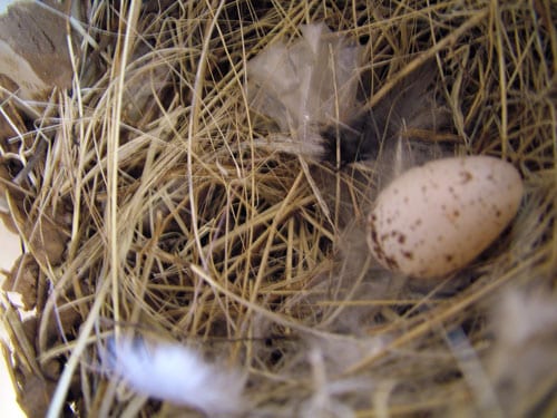 20090608_00021 20090608_00021