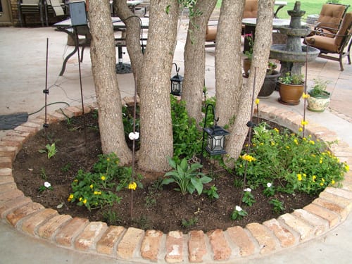 20090619_0092 20090619_0092