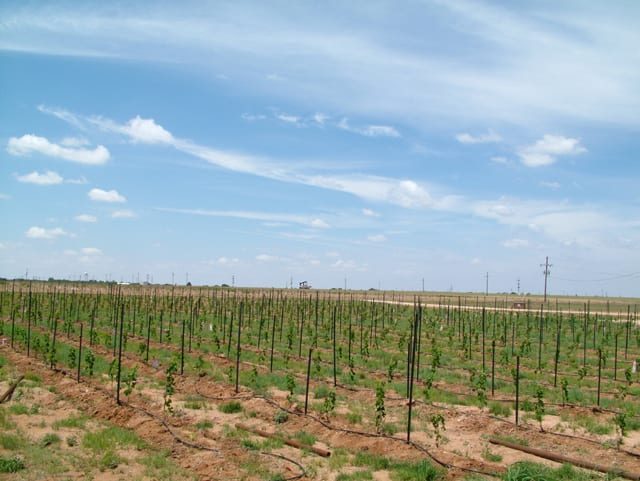 20090618_0027 20090618_0027