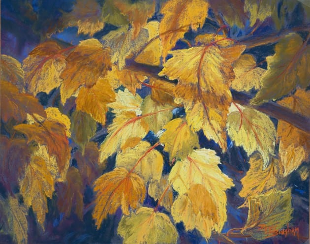 Fall Leaves Fall Leaves