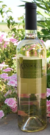 Mandola Vermentino 2008 Mandola Vermentino 2008 with Bingham Family Vineyard
