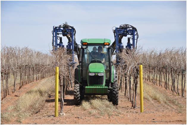 Pre-pruner going through a row of Bingham Family Vineyards vines. 