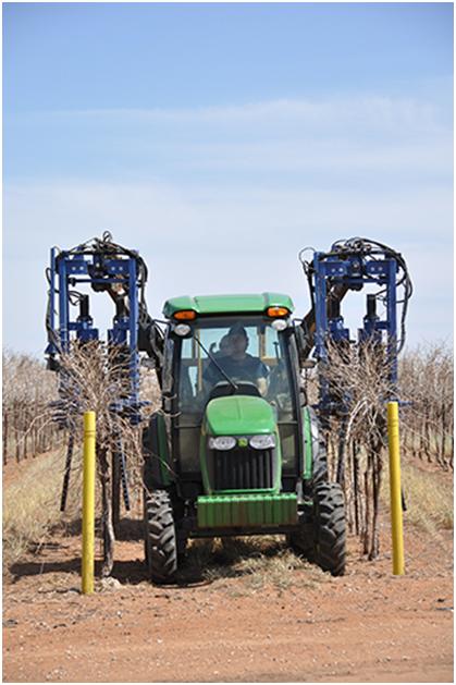 Pre-pruner going through a row of Bingham Family Vineyards vines.