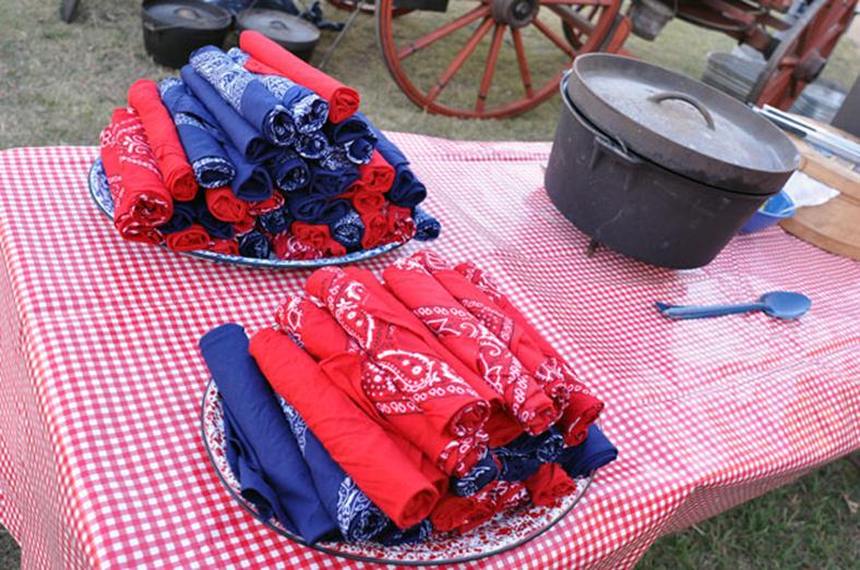 Napkins for table setting at barbeque dinner at TWGGA Grape Day 2010.