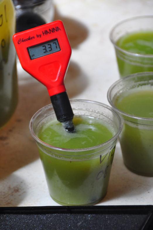 grape juice being tested for brix and pH