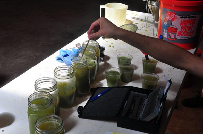 Grape juice being tested for brix and pH.