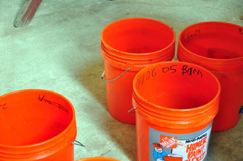 Home Depot orange bucket marked with black Sharpe to denote what type of grapes have been put into the bucket for testing to see if they are ready for harvest.