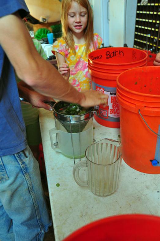 Juice being separated from grape skins to be tested to see if grapes are ready for harvest.
