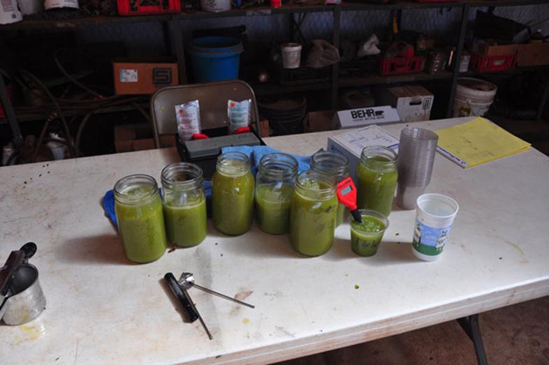 Jars of grapes juice being tested for brix and pH.