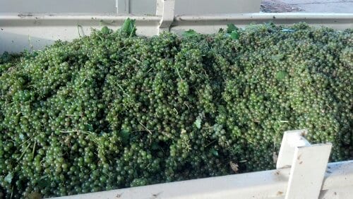 2012-08-02_08-00-36_688.jpg image