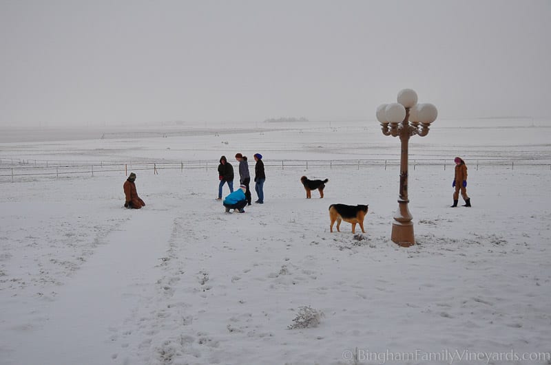 15.01.03_untitled_003-web