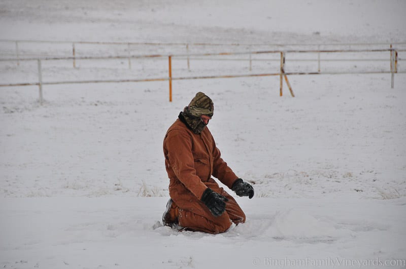 15.01.03_untitled_004-web | Bingham Family Vineyards 15.01.03_untitled_004-web