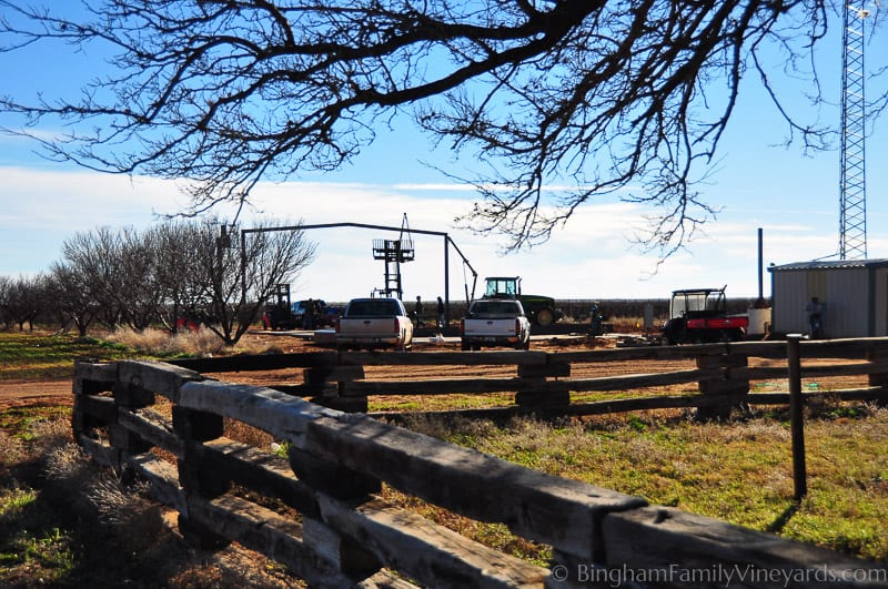 15.01.05_untitled_013-web | Bingham Family Vineyards 15.01.05_untitled_013-web