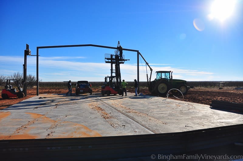 15.01.05_untitled_022-web | Bingham Family Vineyards 15.01.05_untitled_022-web