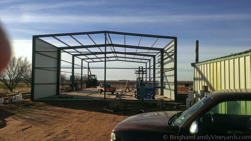 15.01.18_ClintPhone_002-web | Bingham Family Vineyards 15.01.18_ClintPhone_002-web