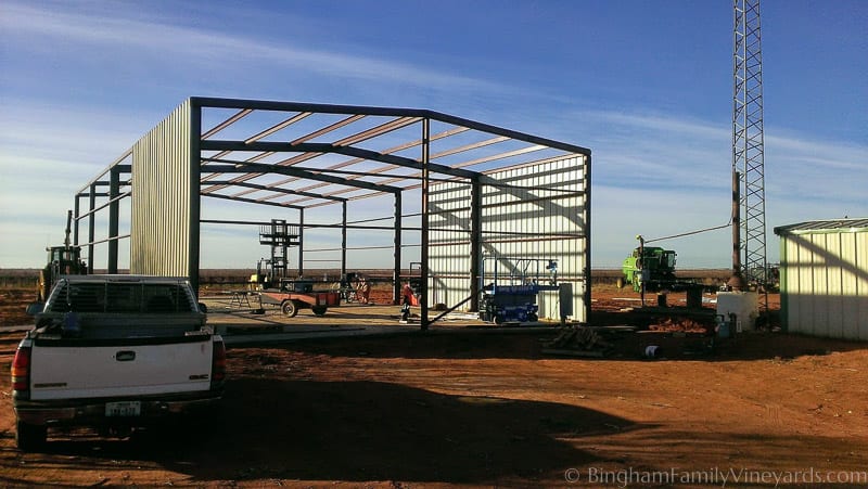 15.01.18_ClintPhone_003-web | Bingham Family Vineyards 15.01.18_ClintPhone_003-web