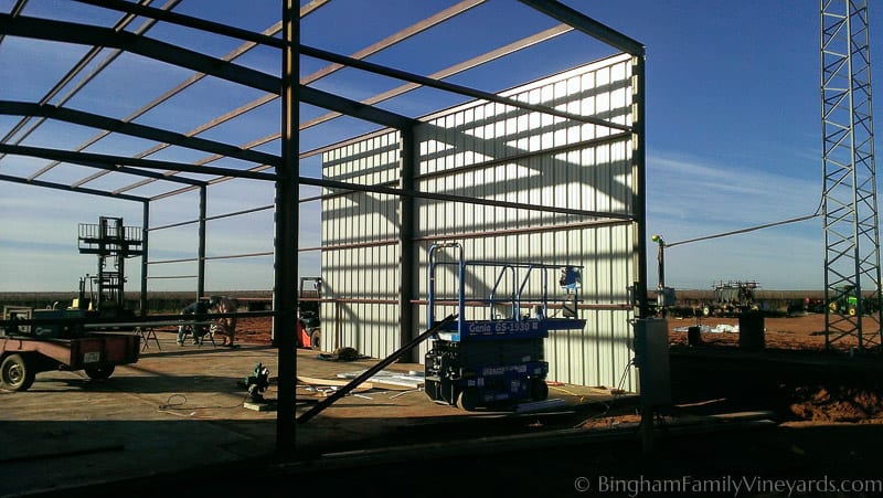 15.01.18_ClintPhone_004-web | Bingham Family Vineyards 15.01.18_ClintPhone_004-web