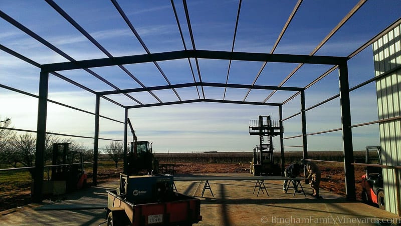 15.01.18_ClintPhone_005-web | Bingham Family Vineyards 15.01.18_ClintPhone_005-web