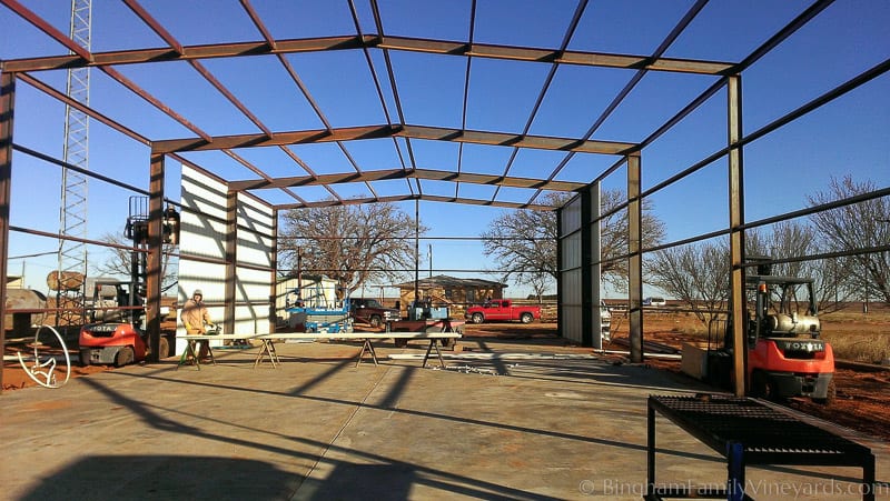 15.01.18_ClintPhone_007-web | Bingham Family Vineyards 15.01.18_ClintPhone_007-web