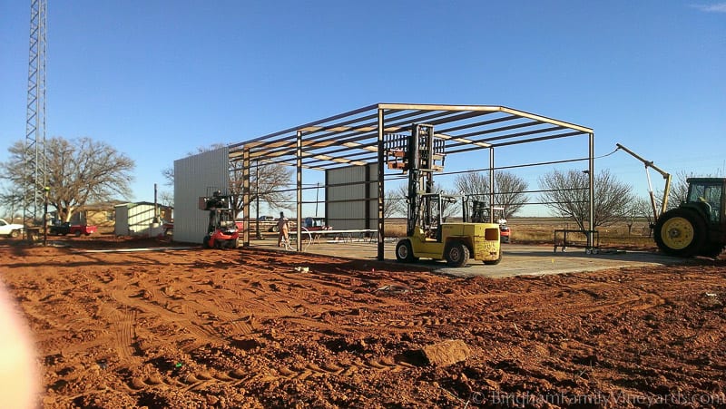 15.01.18_ClintPhone_008-web | Bingham Family Vineyards 15.01.18_ClintPhone_008-web