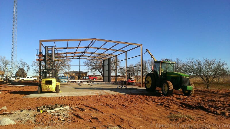 15.01.18_ClintPhone_009-web | Bingham Family Vineyards 15.01.18_ClintPhone_009-web