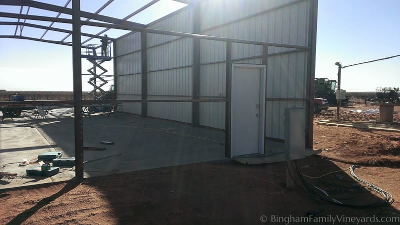 15.01.18_ClintPhone_012-web | Bingham Family Vineyards 15.01.18_ClintPhone_012-web